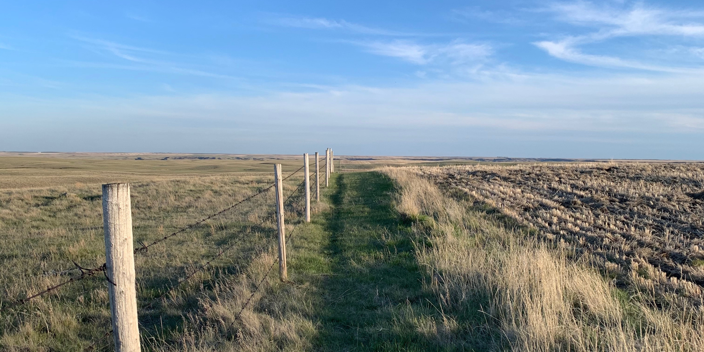 Summer Prairie Skies